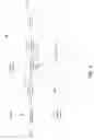 Fig. 04 - Message rate mixing for bandwidth management
