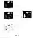 Fig. 07 - EXPOSURE CONTROL FOR AN IMAGING SYSTEM