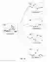 Fig. 17 - EXPOSURE CONTROL FOR AN IMAGING SYSTEM