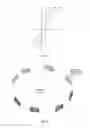 Fig. 14 - Spatio-temporal light field cameras