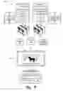 Fig. 10 - Hybrid stream delivery
