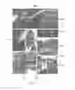 Fig. 07 - PICTORIAL SUMMARY OF A VIDEO