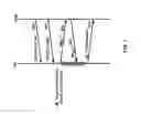 Fig. 08 - Primary and secondary cell group configuration