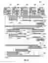 Fig. 31 - Apparatus and methods for scheduling resources in mesh networks