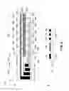 Fig. 05 - Heater and image heating apparatus including the same