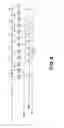 Fig. 09 - Heater and image heating apparatus including the same