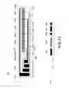 Fig. 13 - Heater and image heating apparatus including the same