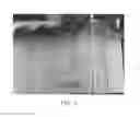 Fig. 04 - Strawberry plant named 'CHARLENE'