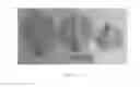 Fig. 08 - Strawberry plant named 'CHARLENE'