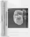 Fig. 15 - Ultrasonically enhanced seed germination system