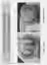 Fig. 19 - Ultrasonically enhanced seed germination system