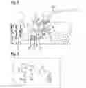 Fig. 02 - FORAGE HARVESTER AND OPERATING METHOD THEREFOR