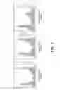 Fig. 04 - Methods and compositions for watermelon with improved processing qualities and firmness