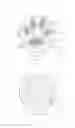 Fig. 02 - ANIMAL PAW PAD
