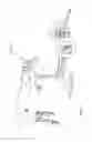 Fig. 04 - Roping dummy with washout simulation and neck pivot action