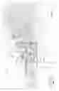 Fig. 13 - Roping dummy with washout simulation and neck pivot action