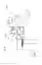 Fig. 19 - Roping dummy with washout simulation and neck pivot action