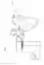 Fig. 20 - Roping dummy with washout simulation and neck pivot action
