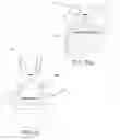 Fig. 06 - PET TOY