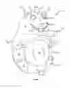 Fig. 01 - Pet toy with ball holding feature