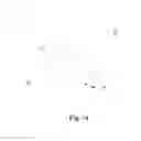 Fig. 02 - Structure of pet feces collection bag