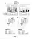 Fig. 04 - MULTIPLEX GENE EDITING