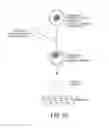 Fig. 11 - MULTIPLEX GENE EDITING