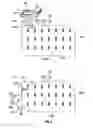 Fig. 05 - Systems and methods for deactivating plant material outside of a growing region