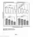 Fig. 04 - Non-nematicidal composition and use thereof