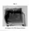 Fig. 03 - COMPOUNDS, COMPOSITIONS, AND METHODS FOR REPELLING AN INSECT FROM AN AREA,ARTICLE, AND/OR STRUCTURE