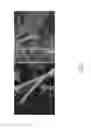 Fig. 04 - CITRUS PRESERVATIVE OF POLYHEXAMETHYLENE GUANIDINE HYDROCHLORIDE