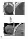 Fig. 02 - Silica formulation including cashew nut shell liquid or the like