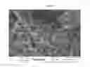 Fig. 10 - Quick-cook grains and pulses