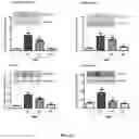 Fig. 12 - LOW CALORIE INFANT FORMULA CONTAINING BETA-HYDROXY-BETA-METHYLBUTYRIC ACID