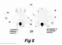 Fig. 07 - Method and apparatus to yield large kernels from Black Walnuts