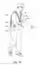Fig. 09 - Stabilizing belt