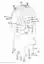 Fig. 01 - Head Protection Assembly