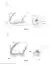 Fig. 07 - HIGH TOP GOLF SHOE