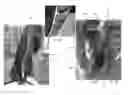 Fig. 06 - Office chair