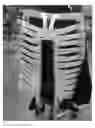 Fig. 20 - Office chair