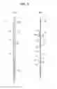 Fig. 06 - Bottom for bed apparatus