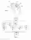 Fig. 06 - Automated food processing system and method