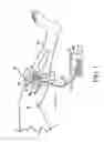 Fig. 02 - METHOD AND SYSTEM FOR ASSESSING SEVERITY AND STAGE OF PERIPHERAL ARTERIAL DISEASE AND LOWER EXTREMITY WOUNDS USING ANGIOSOME MAPPING