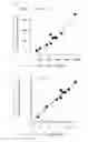 Fig. 10 - Neurogenic baroreflex sensitivity measurement device, neurogenic baroreflex sensitivity measurement program and neurogenic baroreflex sensitivity measurement method
