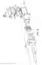 Fig. 03 - Catheter assembly
