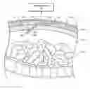 Fig. 01 - LEAK DETECTION