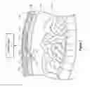 Fig. 02 - LEAK DETECTION
