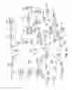 Fig. 20 - THERAPEUTIC PELVIC REGION ANALYZER AND METHOD OF USE THEREOF