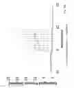 Fig. 06 - APNEA AND HYPOVENTILATION ANALYZER