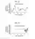 Fig. 03 - METHOD AND APPARATUS FOR MEASURING ANESTHETIC DEPTH USING CEPSTRUM TECHNIQUE